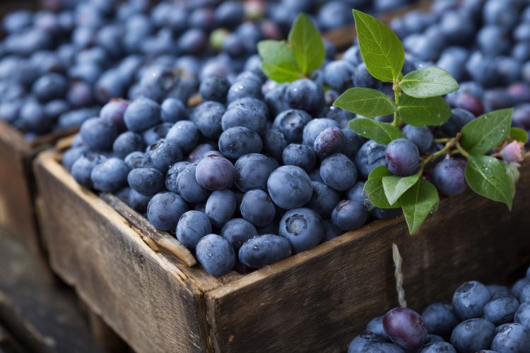 blueberries